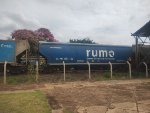 RUMO HTT-352885-5